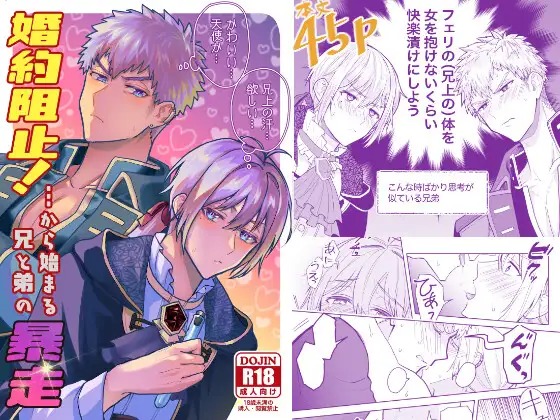 漫画「婚約阻止!…から始まる兄と弟の暴走」の作品情報