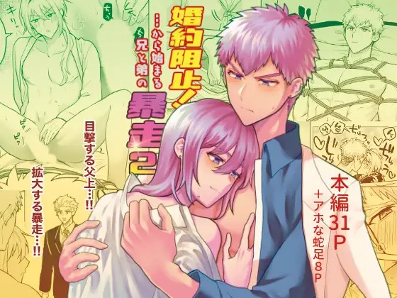 漫画「婚約阻止!…から始まる兄と弟の暴走2」の作品情報