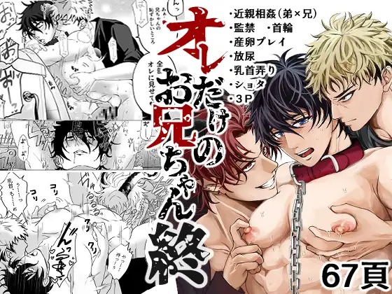 漫画「オレだけのお兄ちゃん・終」の作品情報