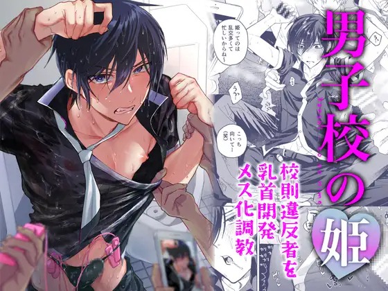 漫画「男子校の姫 校則違反者を乳首開発メス化調教」の作品情報