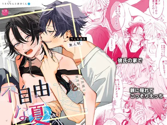 漫画「不自由な夏」の作品情報